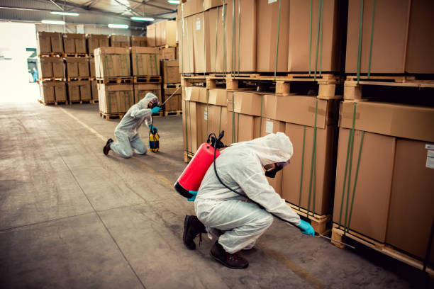 Best Flea Control Services  in Mount Olive, IL