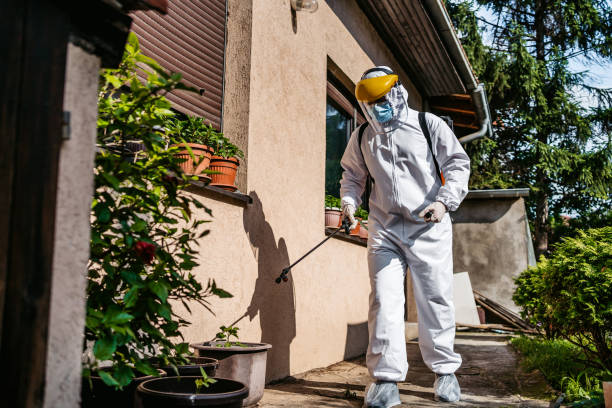 Flea Control Services in Mount Olive, IL