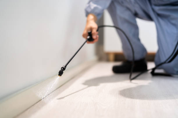 Wildlife Control Services in Mount Olive, IL