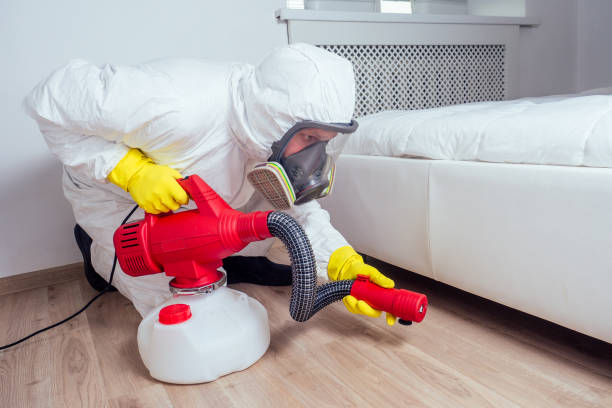 Best Pest Control Near Me  in Mount Olive, IL