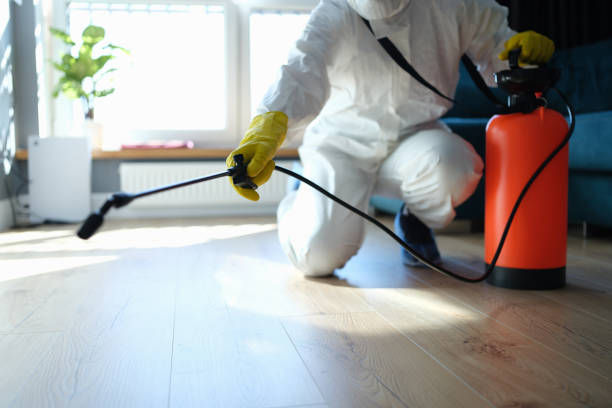 Insect Control in Mount Olive, IL