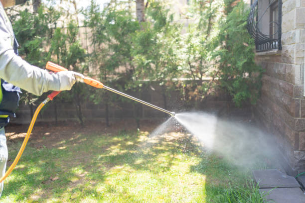 Best Pest Control Near Me  in Mount Olive, IL