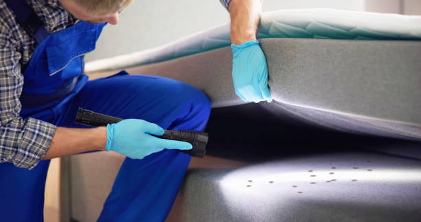 Best Insect Control  in Mount Olive, IL