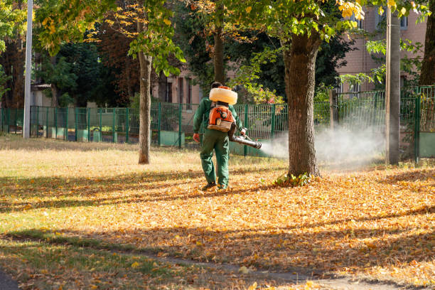Best Wildlife Control Services  in Mount Olive, IL