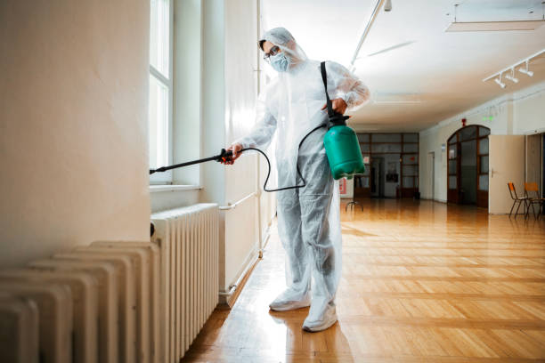 Best Ant Control Services  in Mount Olive, IL