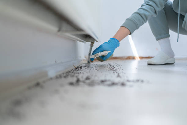 Best Pest Removal Services  in Mount Olive, IL